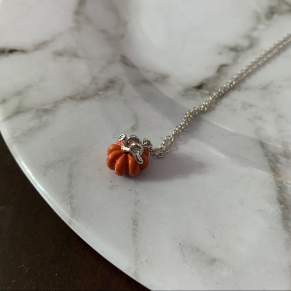 πβ―π β
SILVER PUMPKIN NECKLACE - Picture 7 of 8
